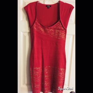 NWT! Beautiful Bodycon Dress
